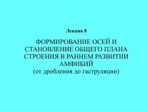 формирование осей и становление общего плана строения в