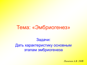 Тема: «Гаметогенез, эмбриогенез»