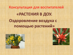 «РАСТЕНИЯ В ДОУ. Оздоровление воздуха с помощью растений» Консультация для воспитателей