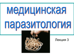 тип книдоспоридии (cnidosporidia)