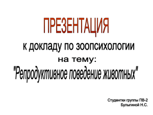 Половое размножение у простейших одноклеточных