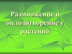 Размножение и оплодотворение у растений