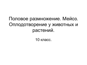 Половое размножение. Мейоз. Оплодотворение у животных и