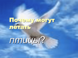 Почему могут летать птицы