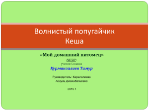 "Мой домашний питомец". Автор