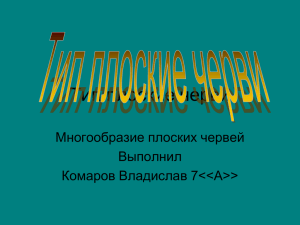 Тип плоские черви Многообразие плоских червей Выполнил Комаров Владислав 7&lt;&lt;А&gt;&gt;