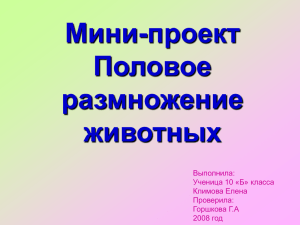 Мини-проект Половое размножение животных