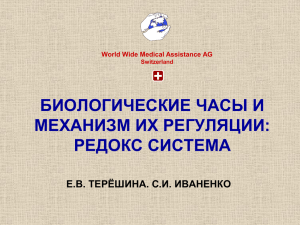 БИОЛОГИЧЕСКИЕ ЧАСЫ И МЕХАНИЗМ ИХ РЕГУЛЯЦИИ: РЕДОКС СИСТЕМА Е.В. ТЕРЁШИНА. С.И. ИВАНЕНКО