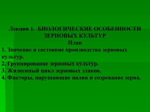 3. Жизненный цикл зерновых злаков.