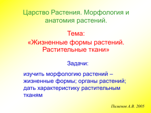 Царство Растения