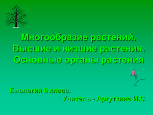 Многообразие растений. Высшие и низшие растения. Основные органы растения Биология 6 класс.