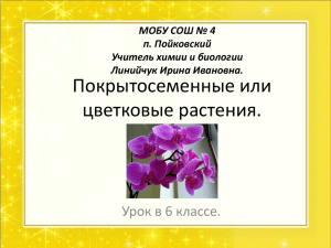 Покрытосеменные или цветковые растения. Урок в 6 классе. МОБУ СОШ № 4