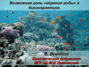 Ключевая роль воды и карбонатов в дыхании