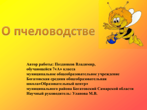 Автор работы: Поздняков Владимир, обучающейся 7«А» класса