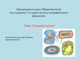 Презентация к курсу Общая биология строение клетки