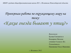 «Какие гнезда бывают у птиц?» Проектная работа по окружающему миру на тему: