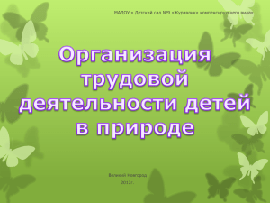 Организация трудовой деятельности детей в природе