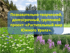 Познавательно-творческий, долгосрочный, групповой проект: «Растительный мир Южного Урала».