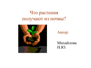 Что растения получают из почвы?