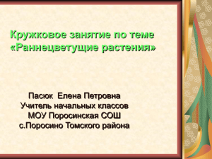 Кружковое занятие по теме