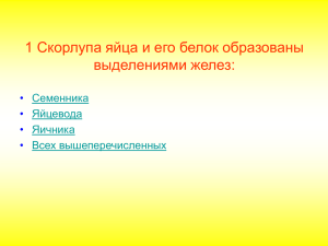 Контрольный тест к уроку №4 «Размножение и развитие птиц