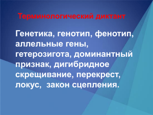 Генетика, генотип, фенотип, аллельные гены, гетерозигота, доминантный признак, дигибридное