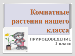 Комнатные растения нашего класса ПРИРОДОВЕДЕНИЕ