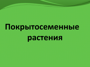 Презентация "Покрытосеменные растения"