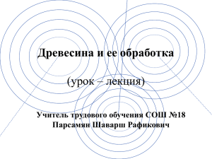 Древесина и ее обработка (урок – лекция) Учитель трудового обучения СОШ №18