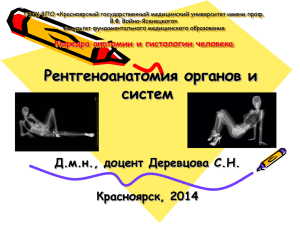 Рентгенанатомии органов и систем