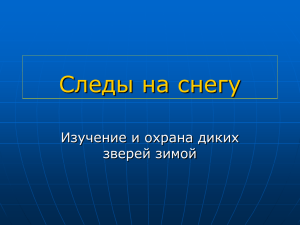 Презентация "Следы на снегу"