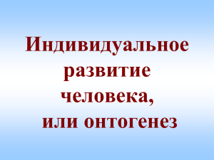 Индивидуальное развитие человека, или онтогенез