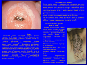 Вирус папилломы человека