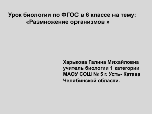 Размножение организмов