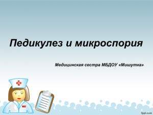 Педикулез и микроспория