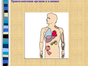 Сингенные и ксенотрансплантации