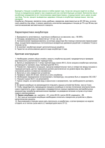 Выводить птенцов в инкубаторе можно в любое время года