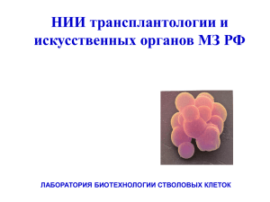 Слайд 1 - Cmbt.su