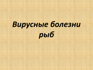 Вирусные болезни рыб