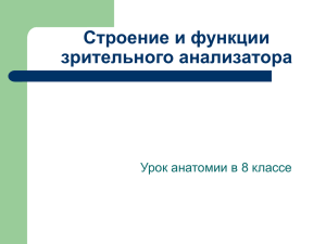 Презентация Строение и функции зрительного анализатора