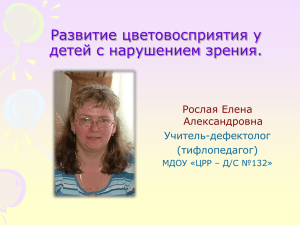 Развитие зрительного восприятия у детей с нарушением зрения