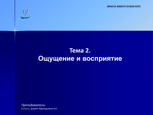 свойства и иллюзии восприятия