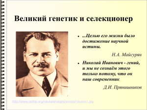 Великий генетик и селекционер