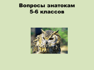 Вопросы знатокам 5