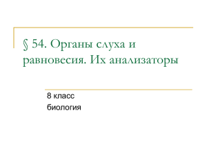 54. Органы слуха и равновесия. Их анализаторы