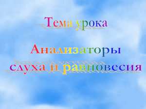 Анализаторы слуха и равновесия