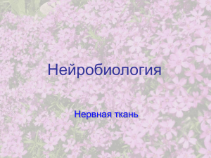 нейромодуляторы