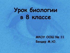 Урок биологии в 8 классе