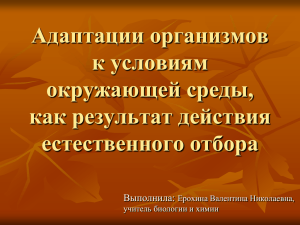 Адаптации – это совокупность особенностей строения