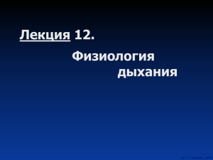 Лекция 12 Дыхание - Лаборатория физиологии человека и